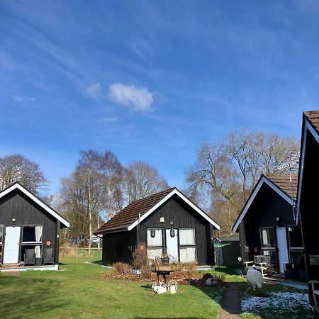 Kilcoy Chalets Muir of Ord Exteriör bild