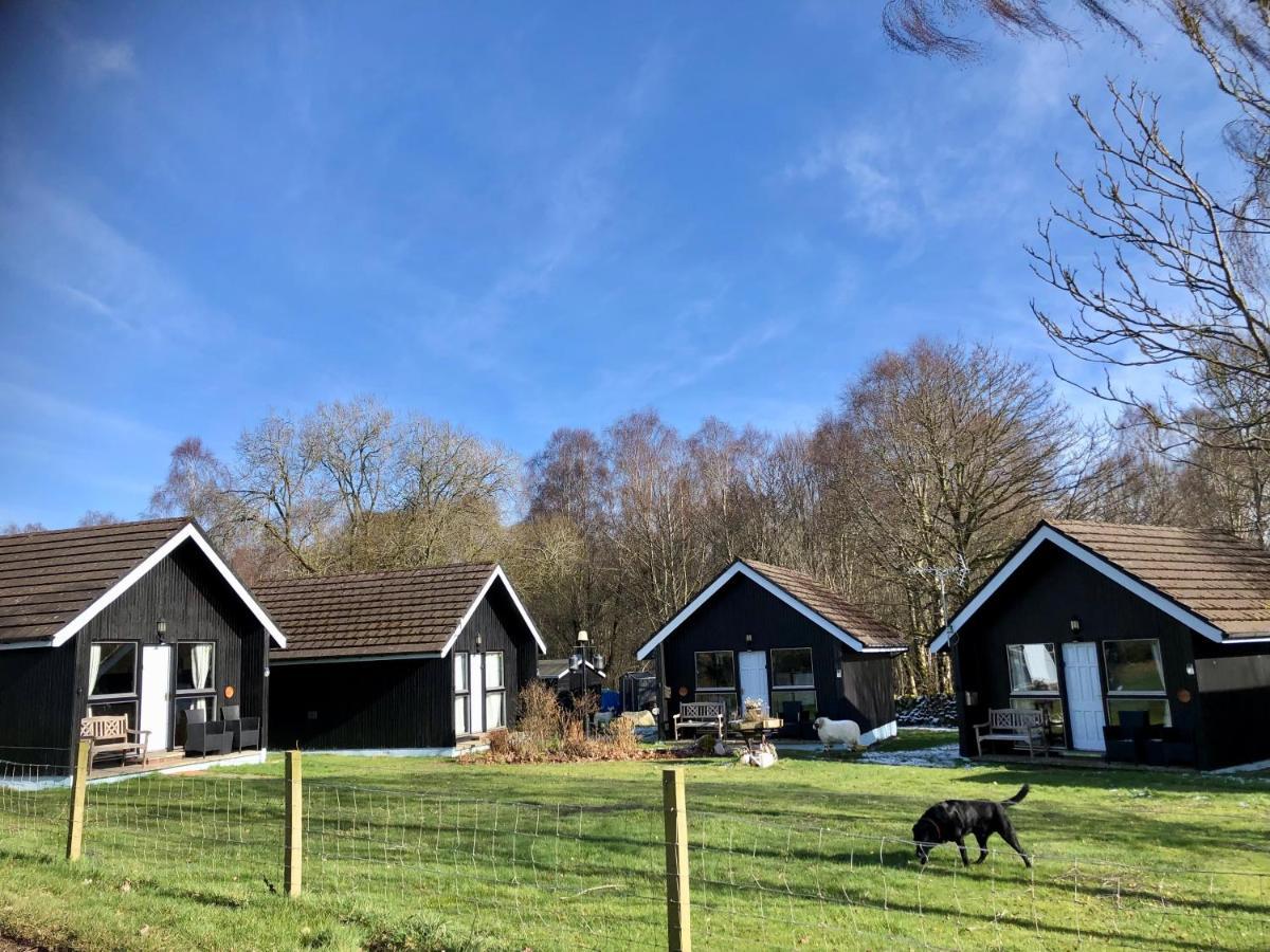 Kilcoy Chalets Muir of Ord Exteriör bild
