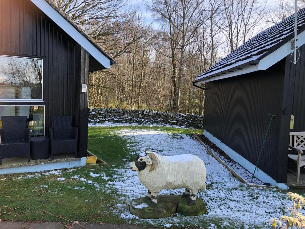 Kilcoy Chalets Muir of Ord Exteriör bild