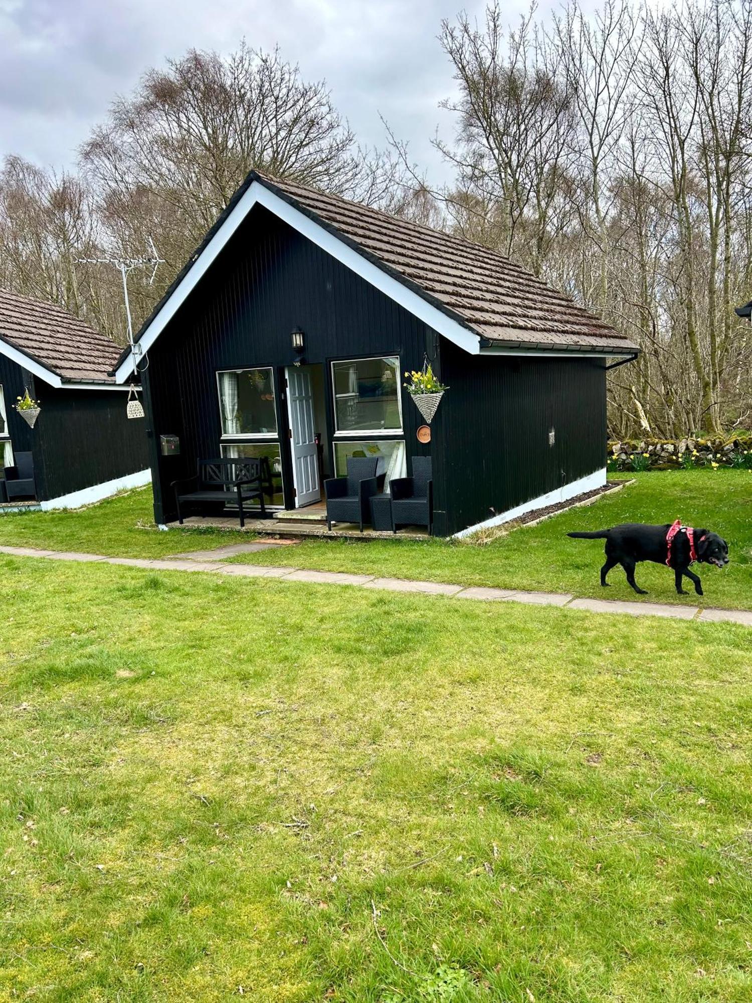 Kilcoy Chalets Muir of Ord Exteriör bild