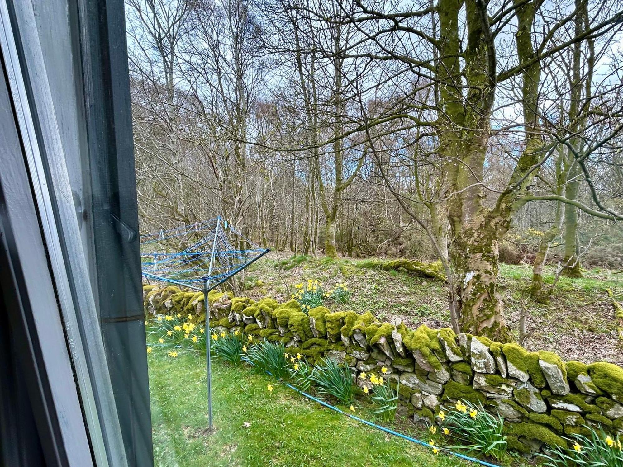Kilcoy Chalets Muir of Ord Exteriör bild